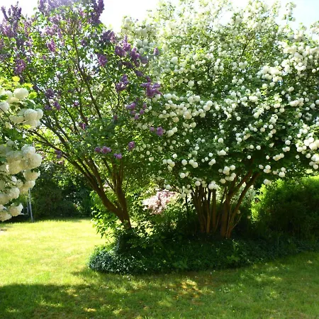 Holiday home Delightful In With Terrace
