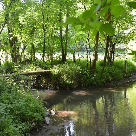 Family Retreat, Forested Anhee