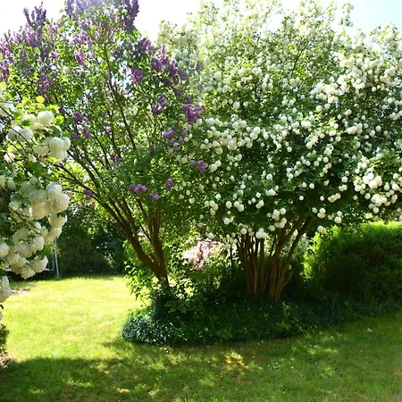 Family Retreat, Forested Anhee