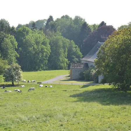 Family Retreat, Forested Anhee 別荘 *